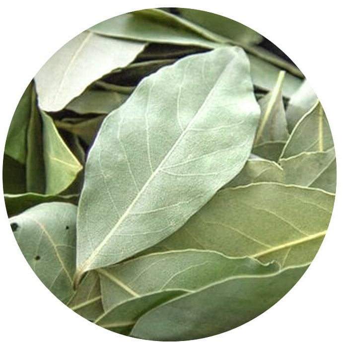bay leave plant benefits Bay Leaves Whole 0.2 oz Tin Can -bay leafs Unique Flavors Spices Unique Flavors LLC 